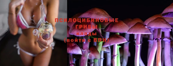 spice Балахна